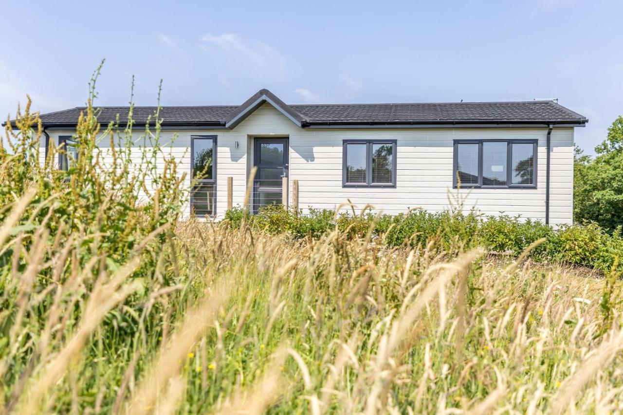 Rose Lodge, 21 Roadford Lake Lodges Lifton Zewnętrze zdjęcie